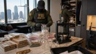Feds Bust Luxury LA Condo, Find 94 lbs Fentanyl, Gold Gun, Baby Gator