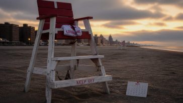 Council Member Shekar Krishnan's Beach Bill Ignores Lifeguards