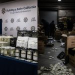 Gavin Newsom Boasts $8.4B From Cannabis But Costs Mask Reality