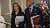 Schumer, Jeffries sue to block Trump admin noncitizen purge