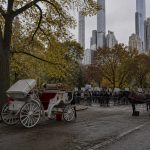 Trump slams Mamdani's Central Park carriage ban as symbolic politics