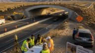 Assemblymember Laurie Davies slams $500M wildlife crossing totals as murky