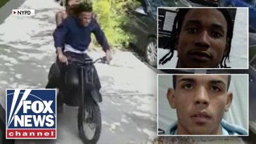 Illegal immigrants ARRESTED after allegedly stabbing NYPD officer