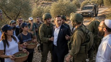 Democratic nominee Brad Lander detained at West Bank olive harvest