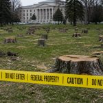 Judge Reyes Halts Trump's Golf Course Tree Clearcut, Demands Testimony