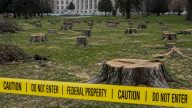 Judge Reyes Halts Trump's Golf Course Tree Clearcut, Demands Testimony