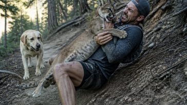Army vet wrestles mountain lion to save dog, now on rabies shots