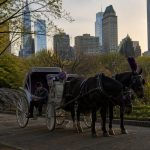 Mayor Mamdani, Speaker Menin Cut Deal to Ban NYC Carriages