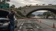 California Dumps $500M on Wildlife Crossings While Roads Crumble