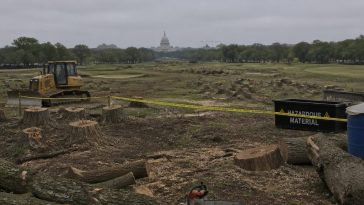 Judge Halts Trump D.C. Golf Plan After Tree Cutting and Toxic Debris